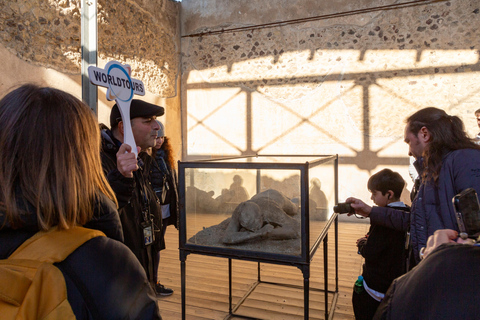 Naples/Salerno Port: Pompeii & Vesuvius - OPTIONAL LUNCH Naples Port: Semi Private Group - ONLY LUNCH