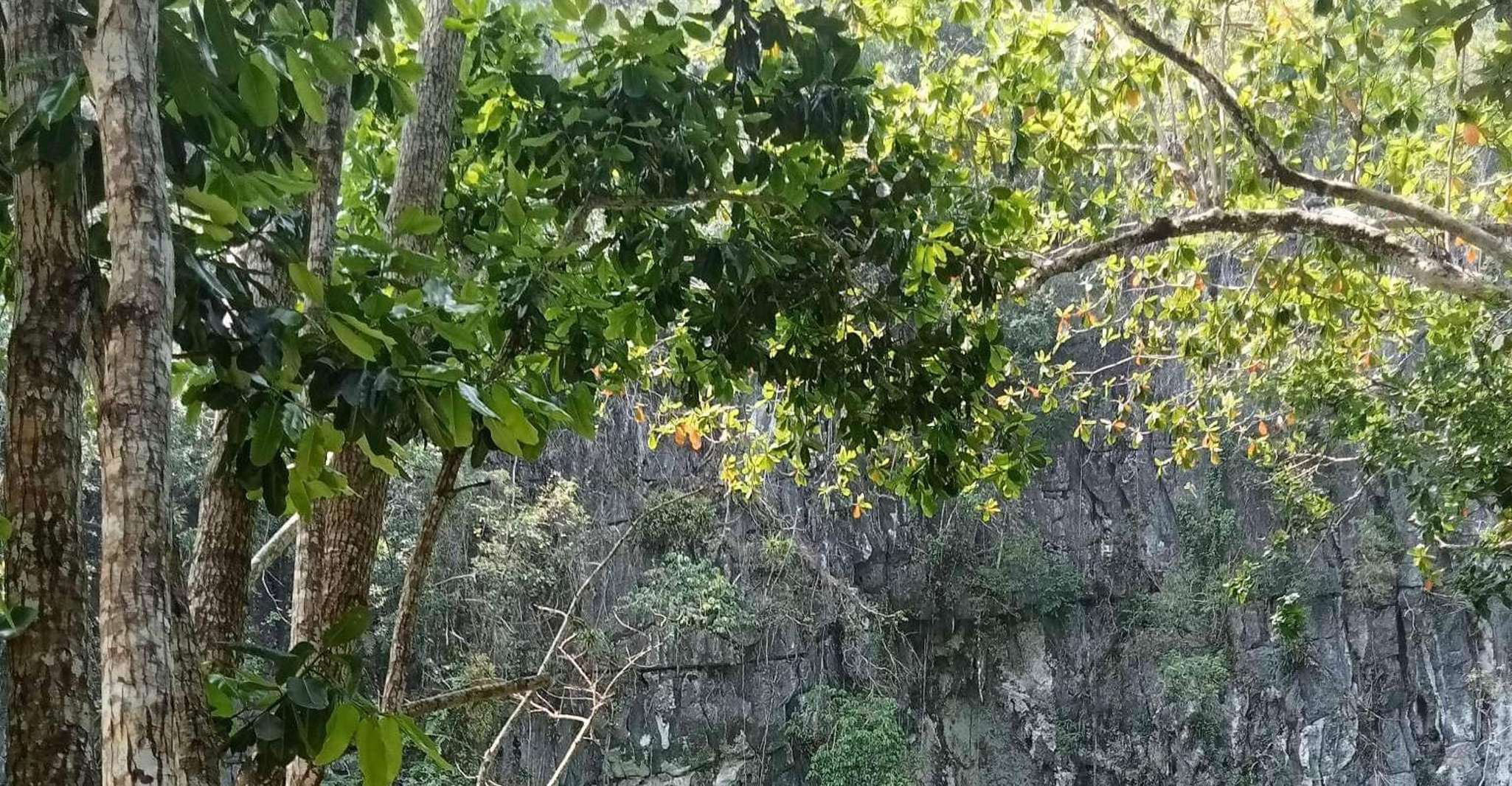 Puerto Princesa, Pacchetto 4D3N Tours e Hotel - Hizvo