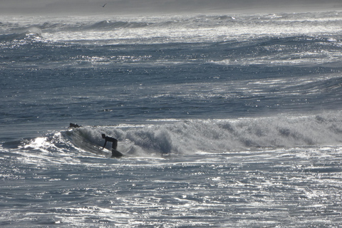 From Valparaíso: Concón Birdwatching & Sunset SUP Tour