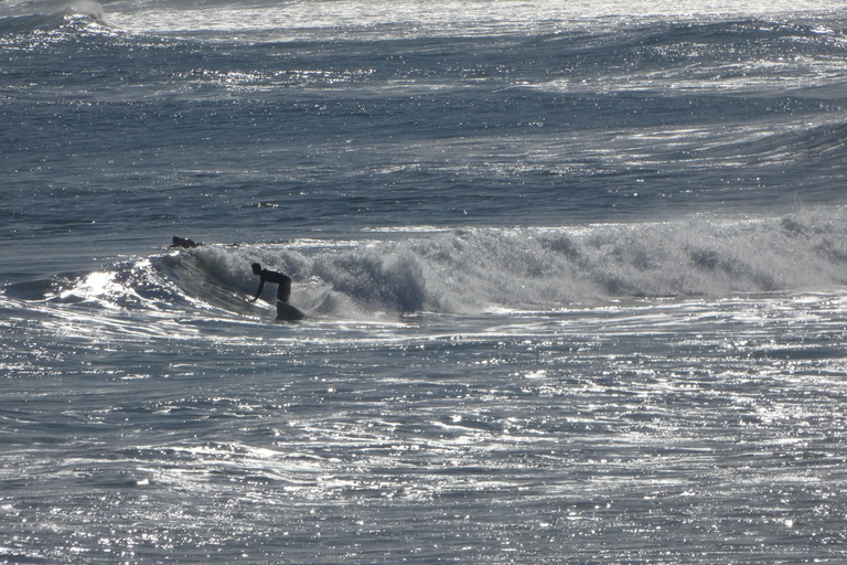From Valparaíso: Concón Birdwatching & Sunset SUP Tour