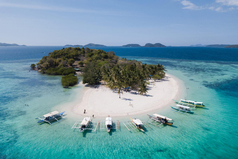 Isola di Coron: tour della barriera corallina e dei relitti (JOINERS)
