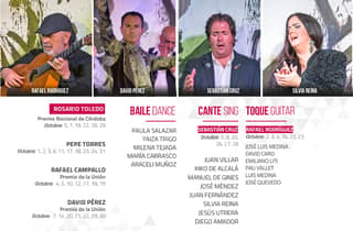 Sevilla: Flamenco-Show im Tablao Los Gallos