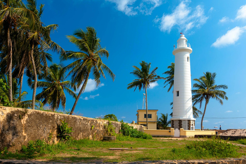 From Colombo: Galle Fort and Jungle Beach Day Trip