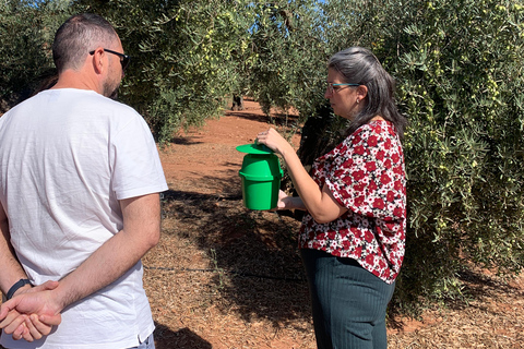 "Oro Bailén": Tour of Oro Bailen Grove + Mill + Tasting Visita al olivar + almazara + degustación (español)