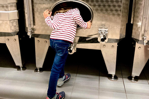 Paris Wine Day Tours - Sancerre wine tour from Paris