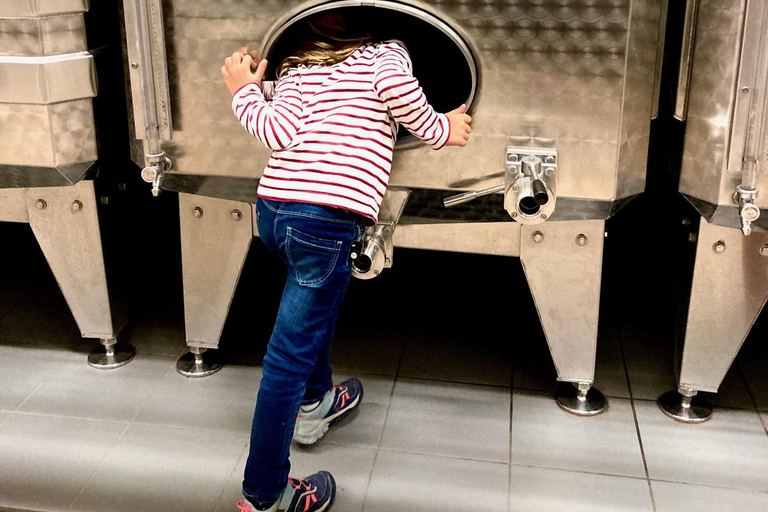 Paris Wine Day Tours - Sancerre wine tour from Paris