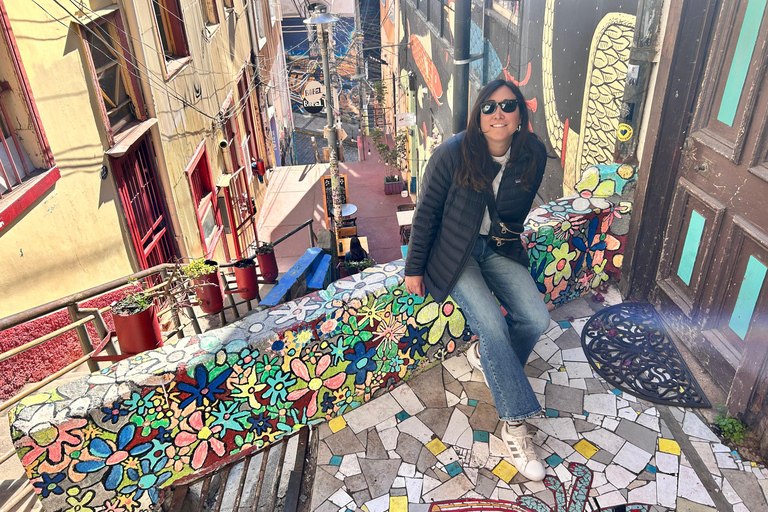 Valparaiso and Viña del Mar: Private Tour from Santiago