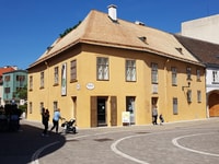 Beethovenhaus Baden, Entrance Ticket - Housity