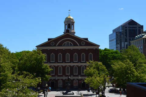 Best of Boston: Full-Day Private Tour