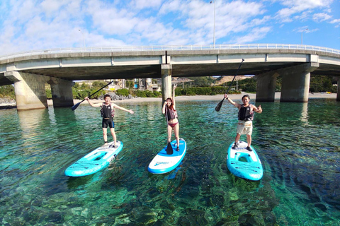 Nago Okinawa: SUP Adventure at Private Beach with Instructor