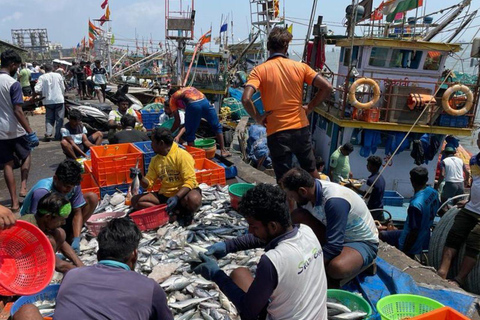 Mumbai Dawn Tour: Markets, Dhobi Ghat & Local Life