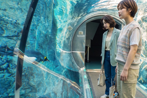 Sapporo: Asahiyama Zoo, Blue Pond, & Farm Tomita Tour