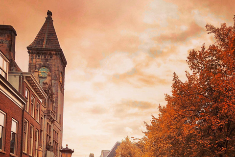 Tour of Utrecht, Haar Castle, and Breukelen + guide and private car Tour to Utrecht, Haar Castle, and Breukelen + guide and private car