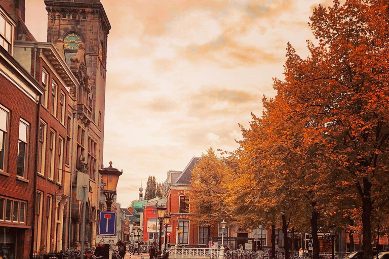 Tour of Utrecht, Haar Castle, and Breukelen + guide and private car Tour to Utrecht, Haar Castle, and Breukelen + guide and private car