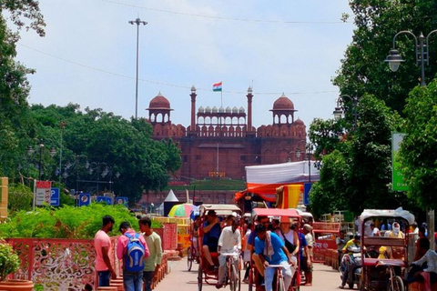Delhi: Old Delhi Heritage Walk+Rikshaw Ride & Spice Market