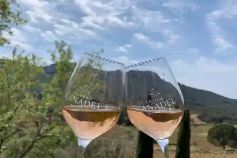 Bandol: visita a un vigneto familiare e degustazione di vini