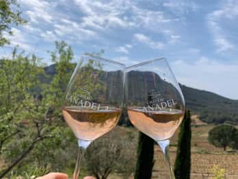 Bandol : visite d'un vignoble familial et dégustation