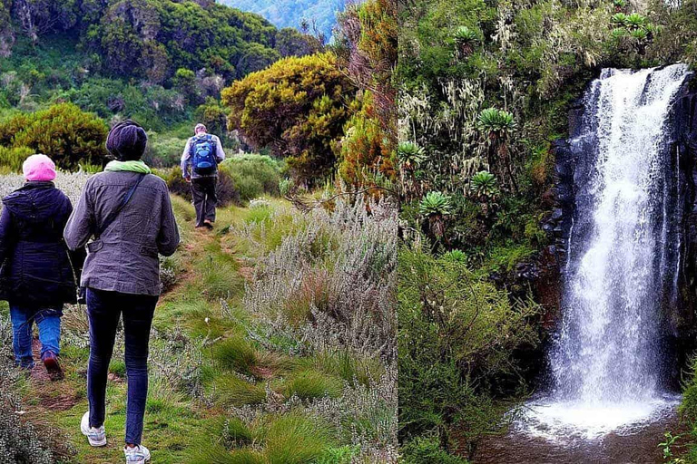 2-daags safaripakket door Aberdares National Park