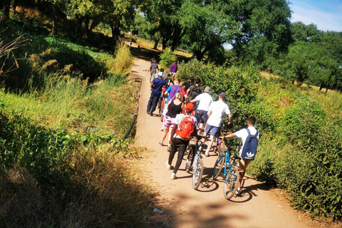 Livingstone : visite de la ville à vélo