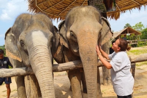 Cambodia Elephant Sanctuary and Banteay Srey Temple Tour