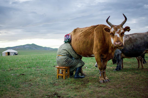 From Ulaanbaatar: 7-Day Mongolian Nomad Challenge Tour