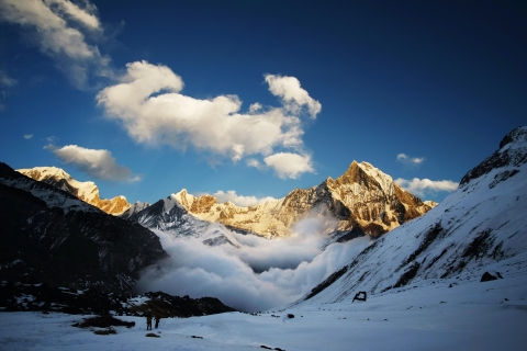 Annapurna Base Camp: Kurzer 5-tägiger Trek