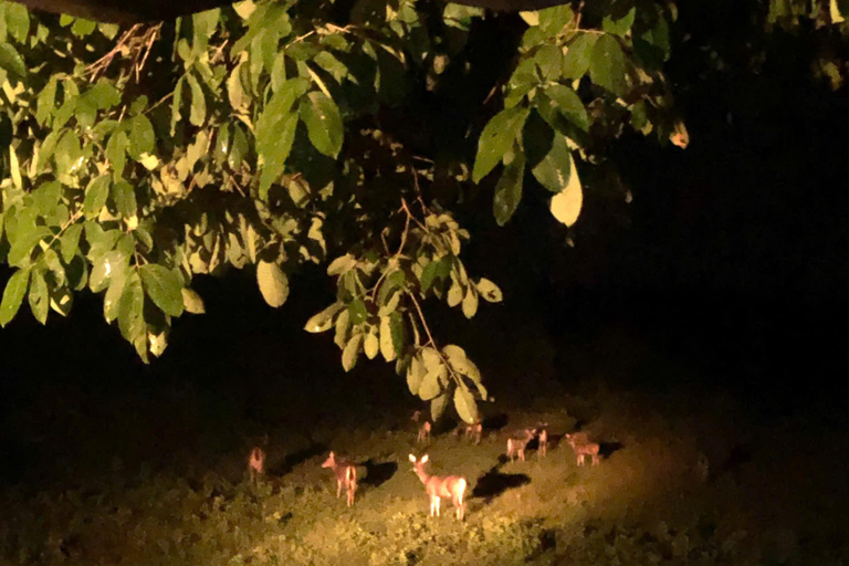 From HCMC: Cat Tien Jungle, Morning & Night safari included Group trip (from 2-5)
