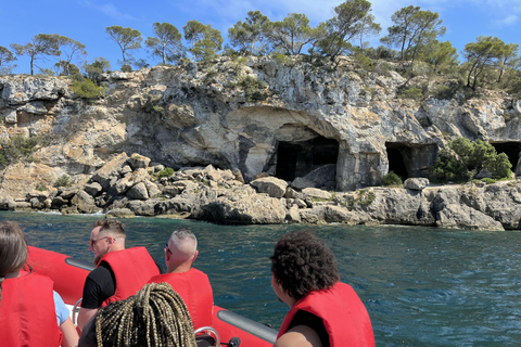 Palma de Mallorca: recorrido turístico en lancha rápida con recogidaAsientos estándar