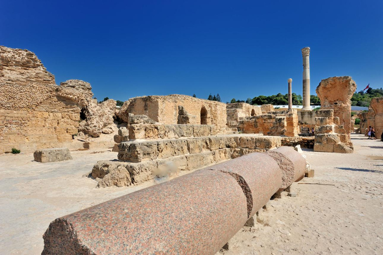 Tunis, Carthage & Bardo Museum: A Journey Through History From Mahdia