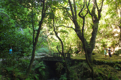 Madère : ARIEIRO PEAK, SANTANA, PONTA SÃO LOURENÇO JEEP TOURPrivé : Pic d&#039;Arieiro, Balcões, Santana &amp; Pta São Lourenço