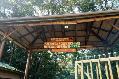 Bosque de Kakamega: Safari de observación de aves