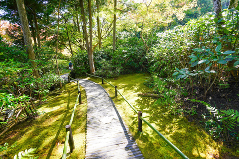 Kyoto: visite à pied d'Arashiyama de 4 heures