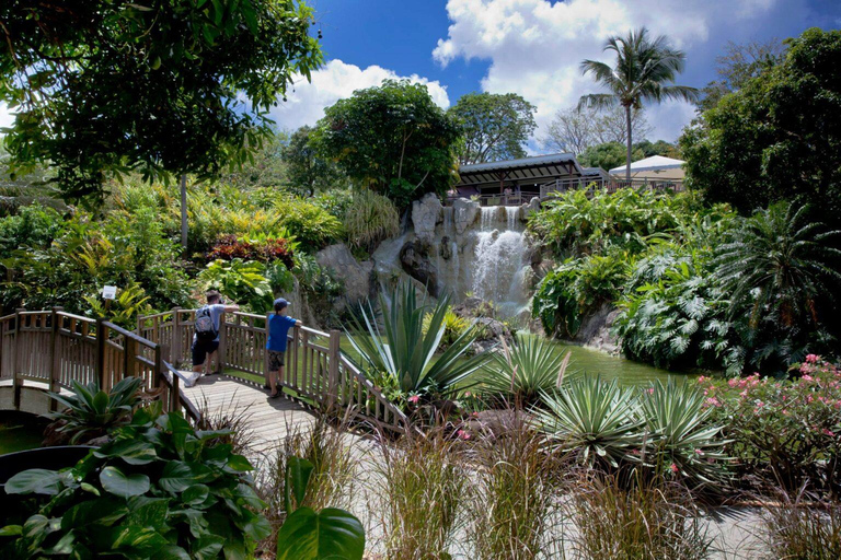 Basse-Terre: Half-Day City Tour with Guide & Hotel Transfers Tour with guide, driver, ac car