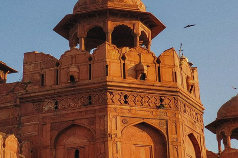 La experiencia completa de Delhi: tour de día completo en coche
