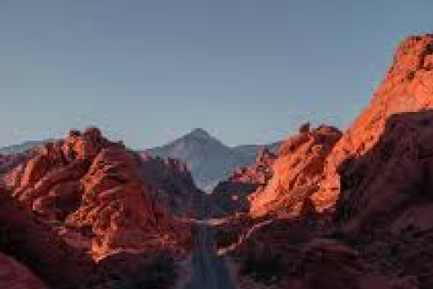 From Djerba: Desert Camp & Amazigh Villages Tour with Dinner