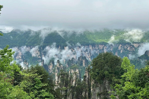 Zhangjiajie: National Forest Park+Tianzi Mountain Tagestour