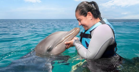 Cozumel: Dolphin Programs & Chankanaab Park