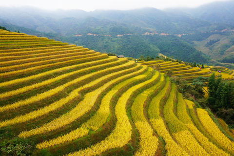 Guilin: Longji Rice Terraces and Minority Village tour