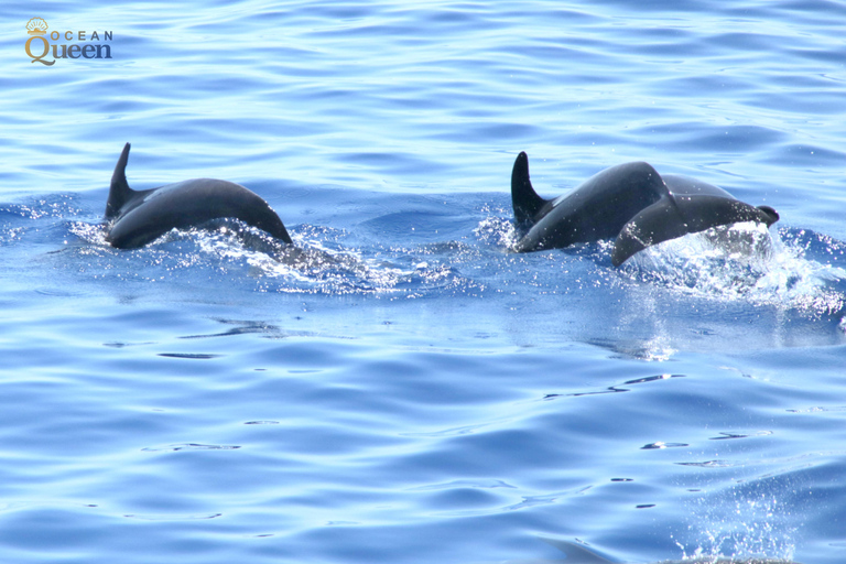 Ayia Napa's Biggest Boat | Cruise with Lunch and Swimming Ayia Napa: Boat Cruise with Buffet Lunch and Swimming