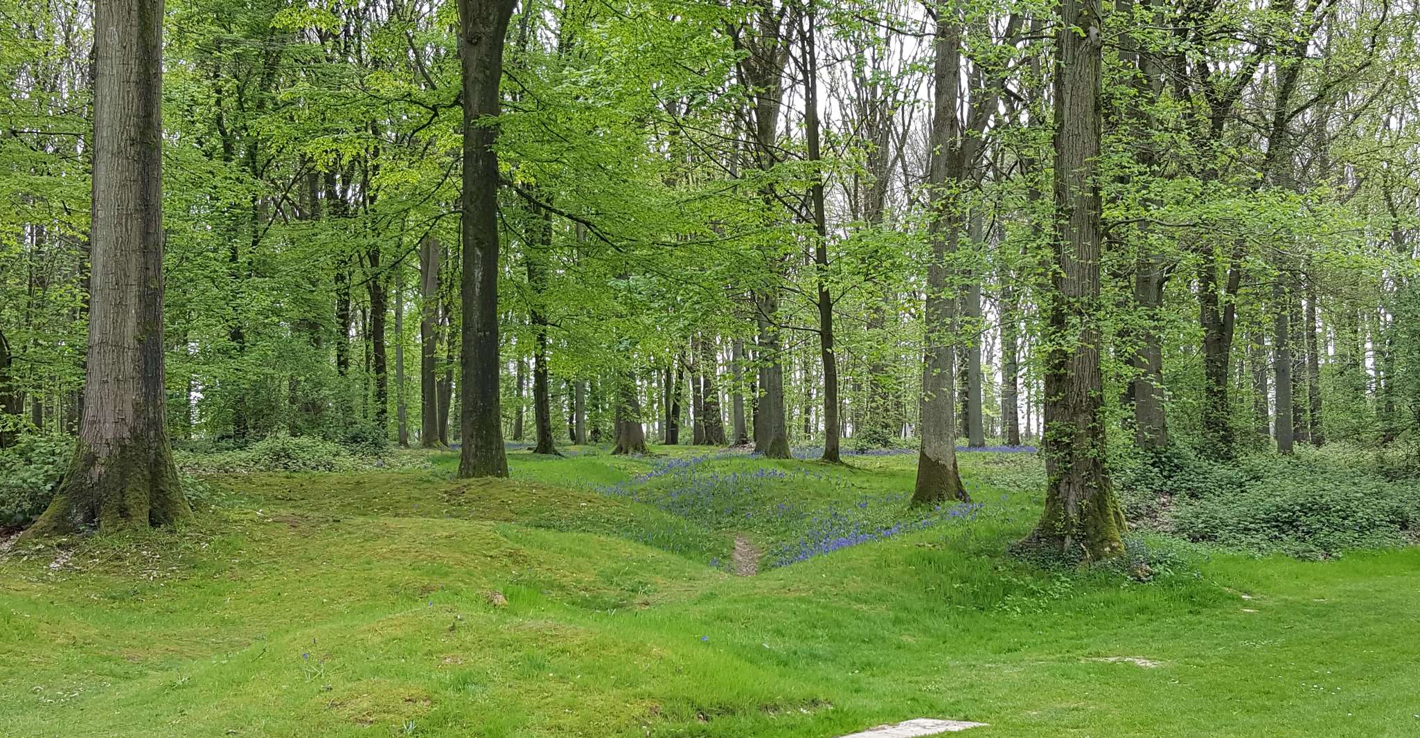 Battle of the Somme WWI Battlefield from Amiens - Housity