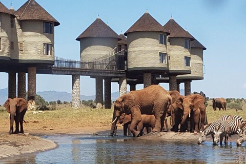 Safari en soirée à Saltlick depuis Mombasa/Diani