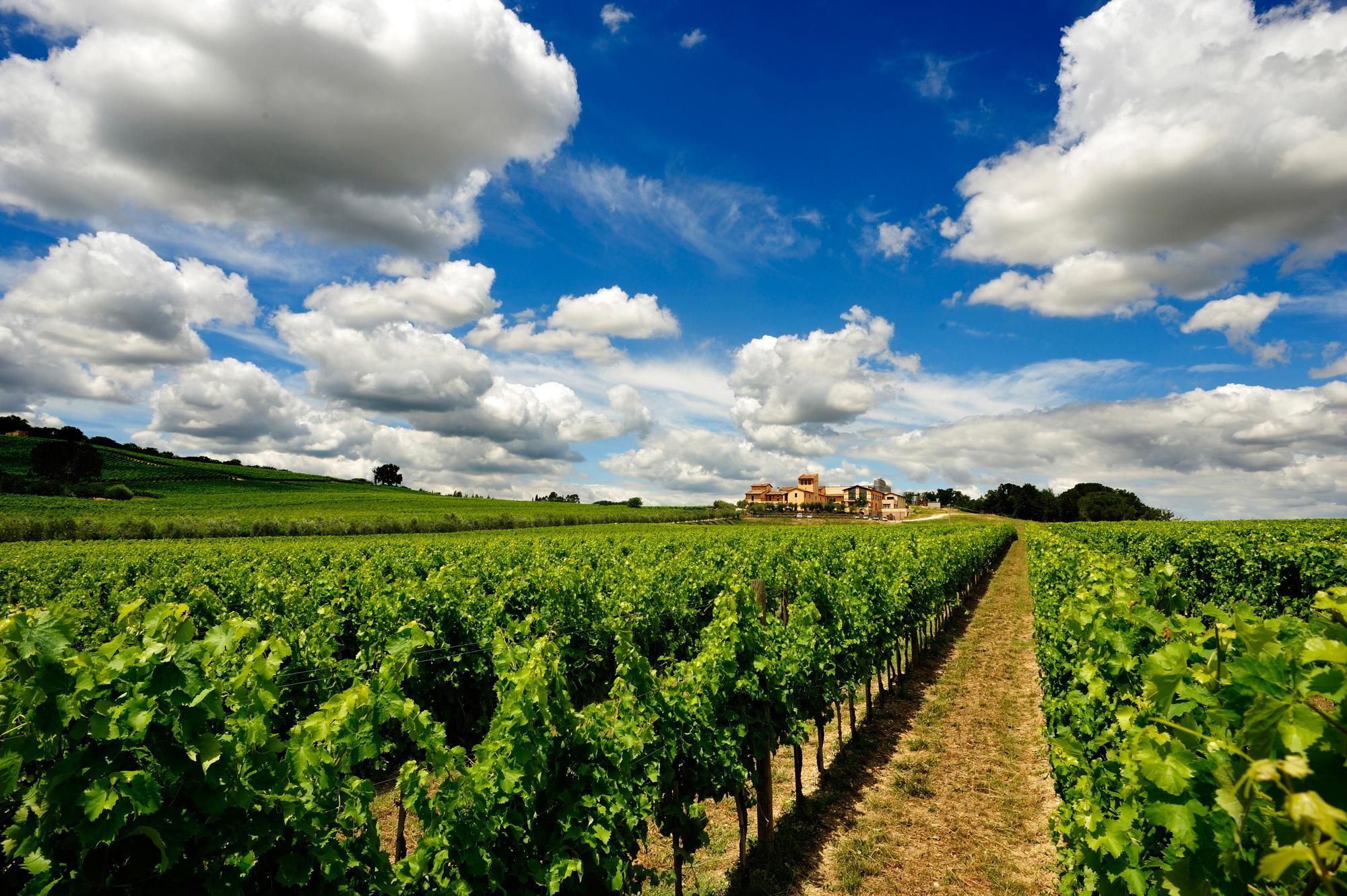 Cortona: Toskanische Weintour mit Verkostungen, Mittagessen und Abholung
