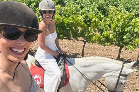 Alicante: przejażdżka konna po górach Maigmó, piknik i transferAlicante: Wycieczka konna na górę Maigmó, piknik i transfer