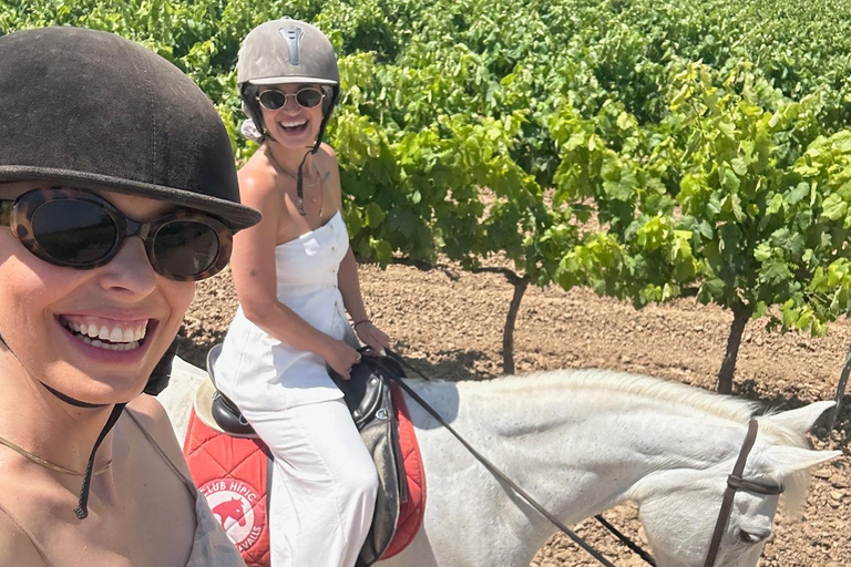 Alicante: przejażdżka konna po górach Maigmó, piknik i transferAlicante: Wycieczka konna na górę Maigmó, piknik i transfer