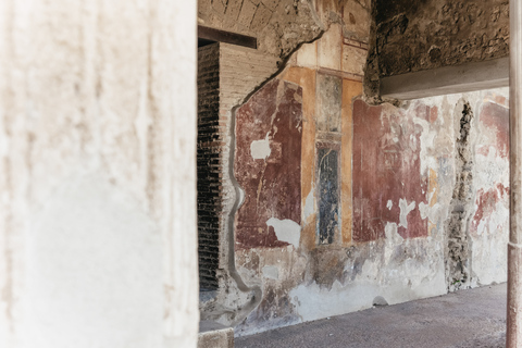 Vanuit Rome: Dagtrip Pompeii en de Vesuviusberg met lunchPompeii & Vesuvius met kegelwandeling