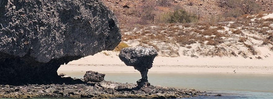 La Paz : Croisière de location de yacht de luxe sur la plage de Balandra