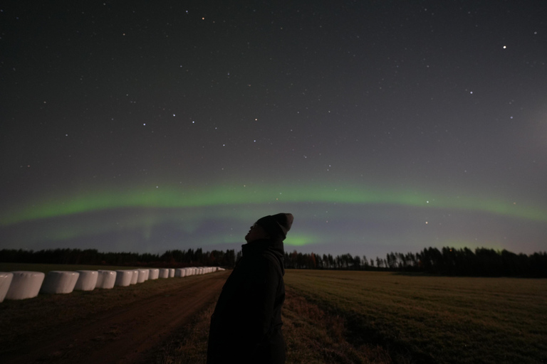 ⭐ Rovaniemi: Northern Lights Chase | Guarantee & Photos