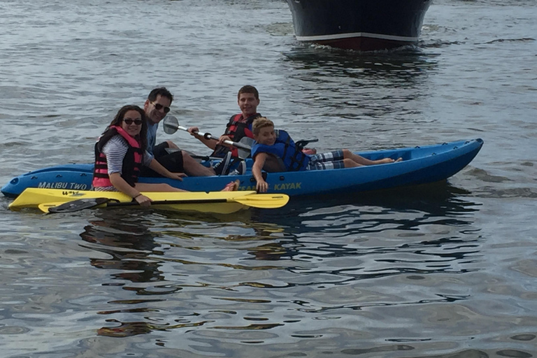 Key Largo: Mangrove Kayak Rental (Single or Double Kayaks)