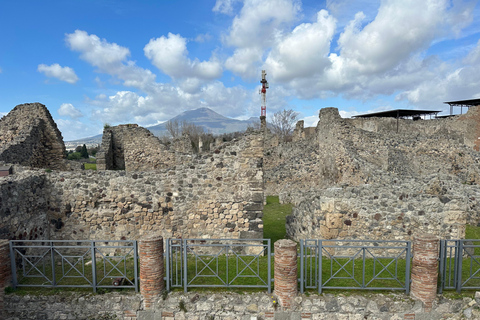 From Pompeii: Vesuvius excursion + Pompeii guided tour Vesuvius excursion +Pompeii guided tour