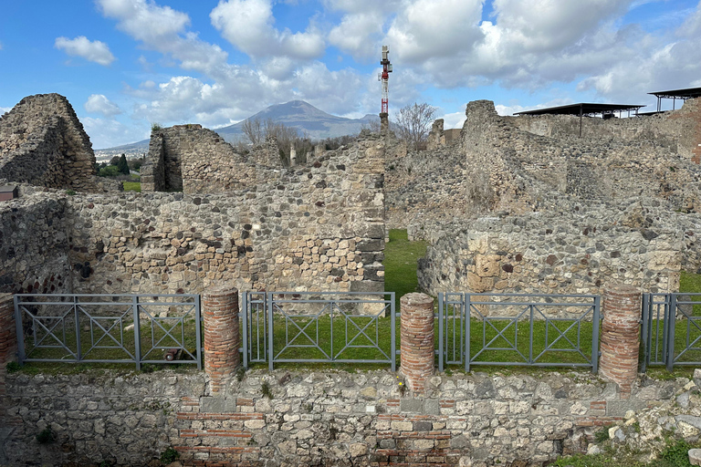 From Pompeii: Vesuvius excursion + Pompeii guided tour Vesuvius excursion +Pompeii guided tour